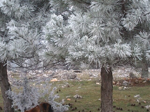 Escapada invernal: Desconecta y recarga energías en la naturaleza